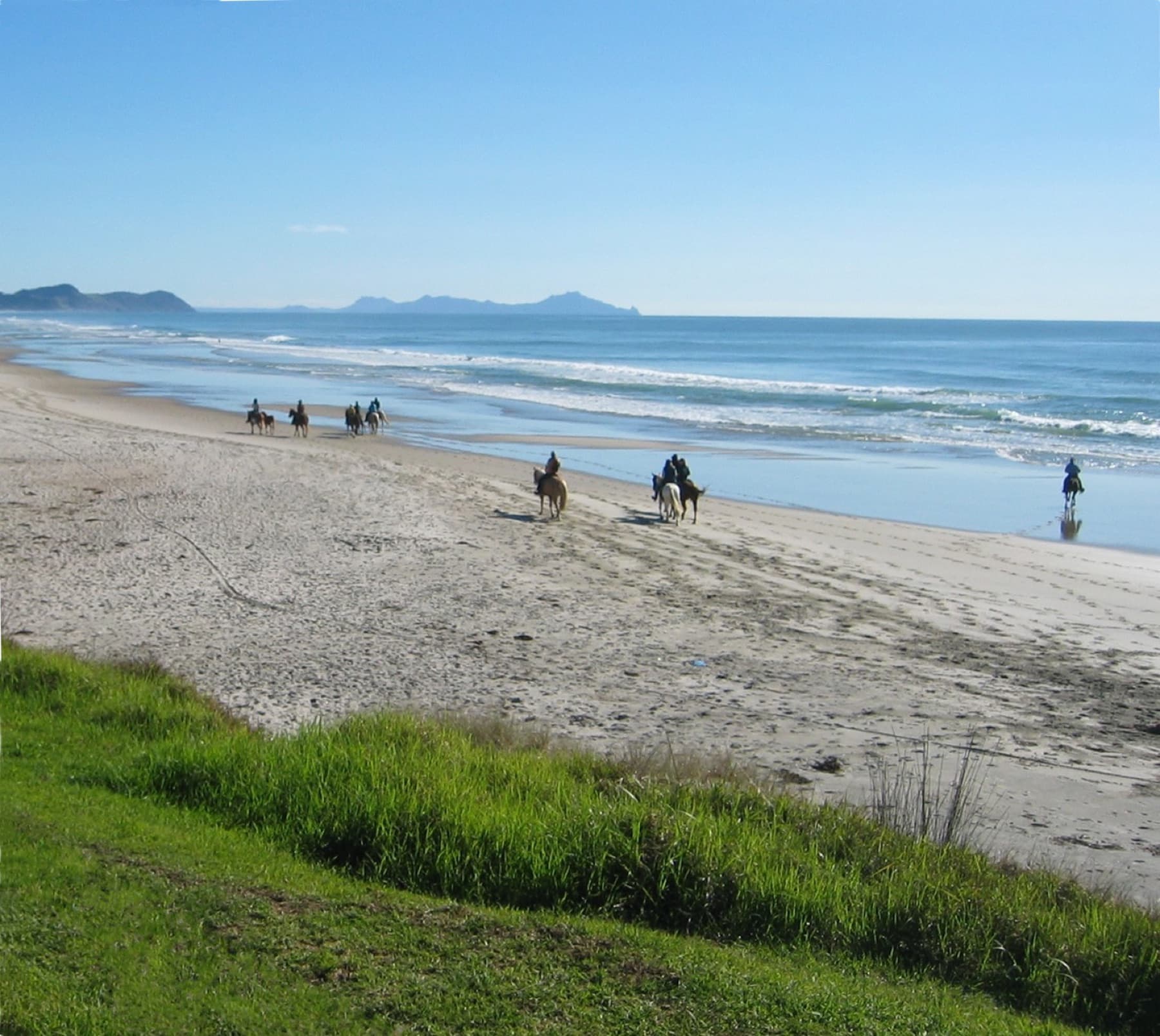 Horse riders on Te Arai Beach