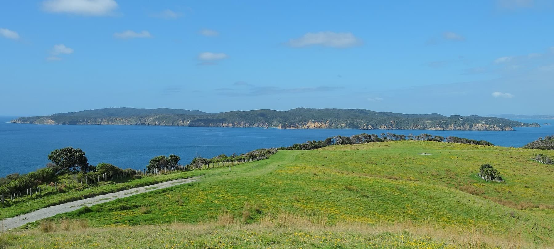 Kawau Island from Tawharanui Peninsula