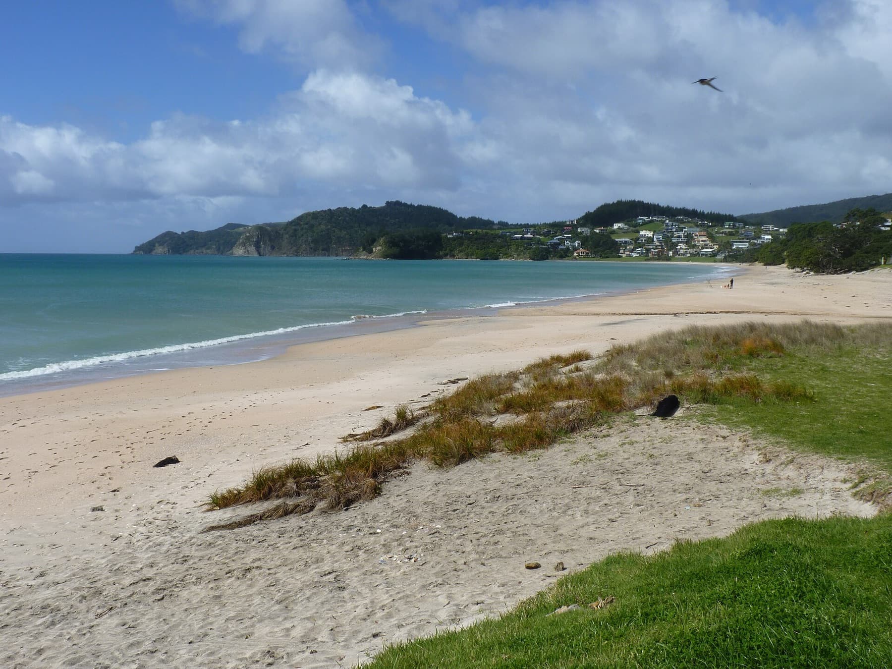 Langs Beach, New Zealand 02