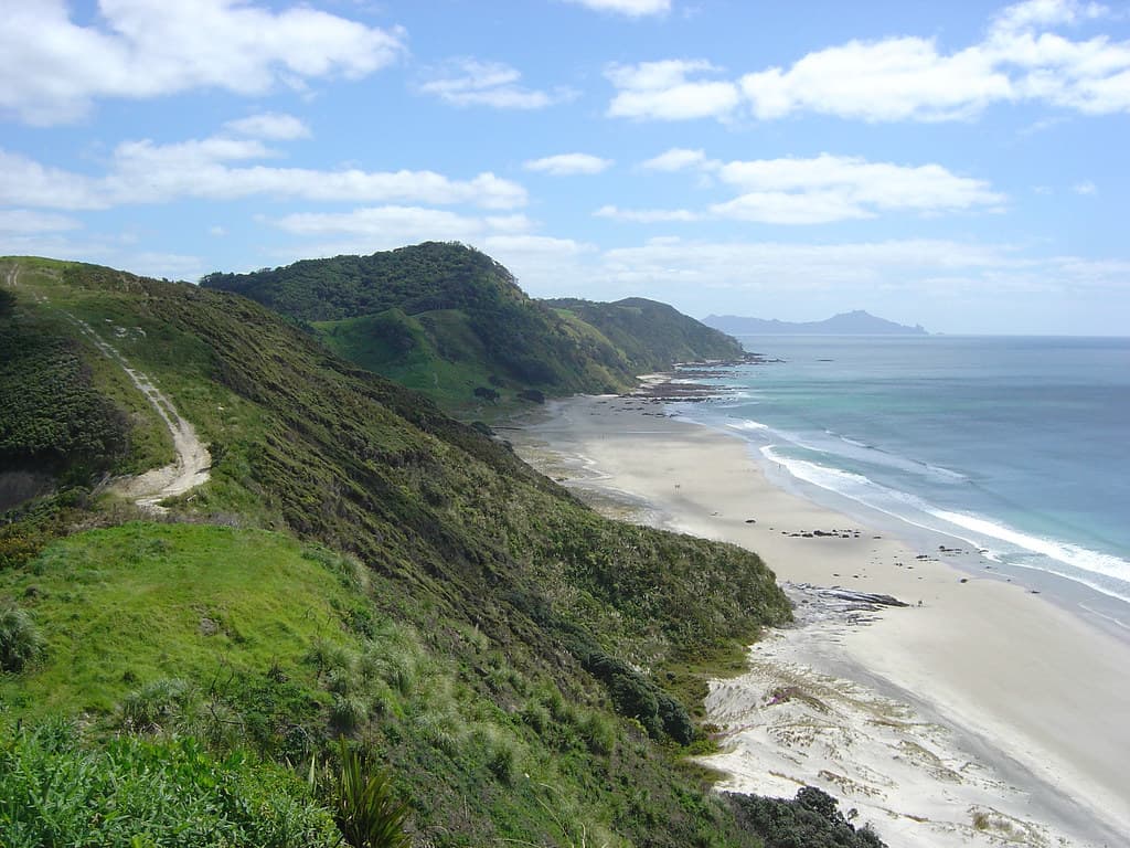 Mangawhai 5