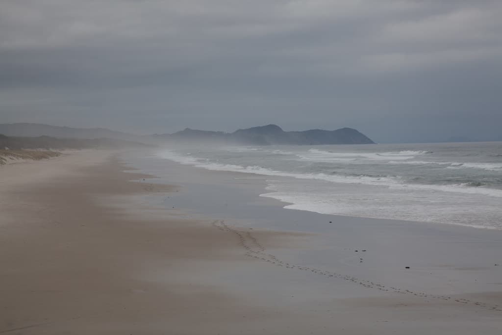 Mangawhai Beach