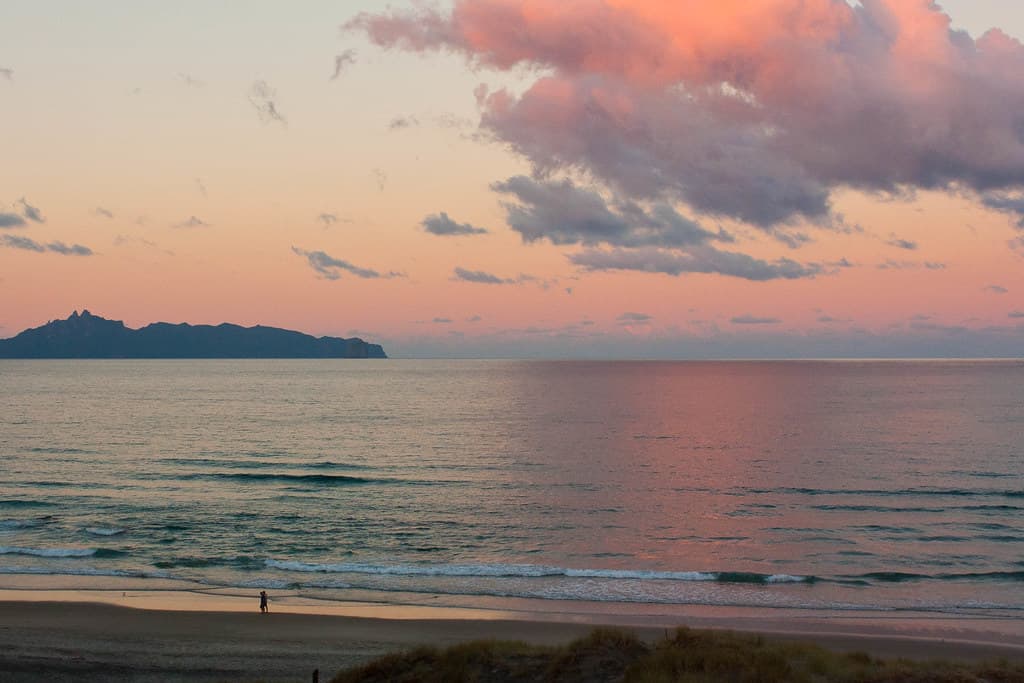 Mangawhai Head