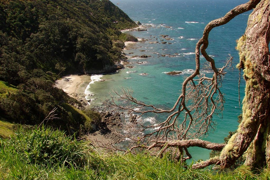Mangawhai Heads
