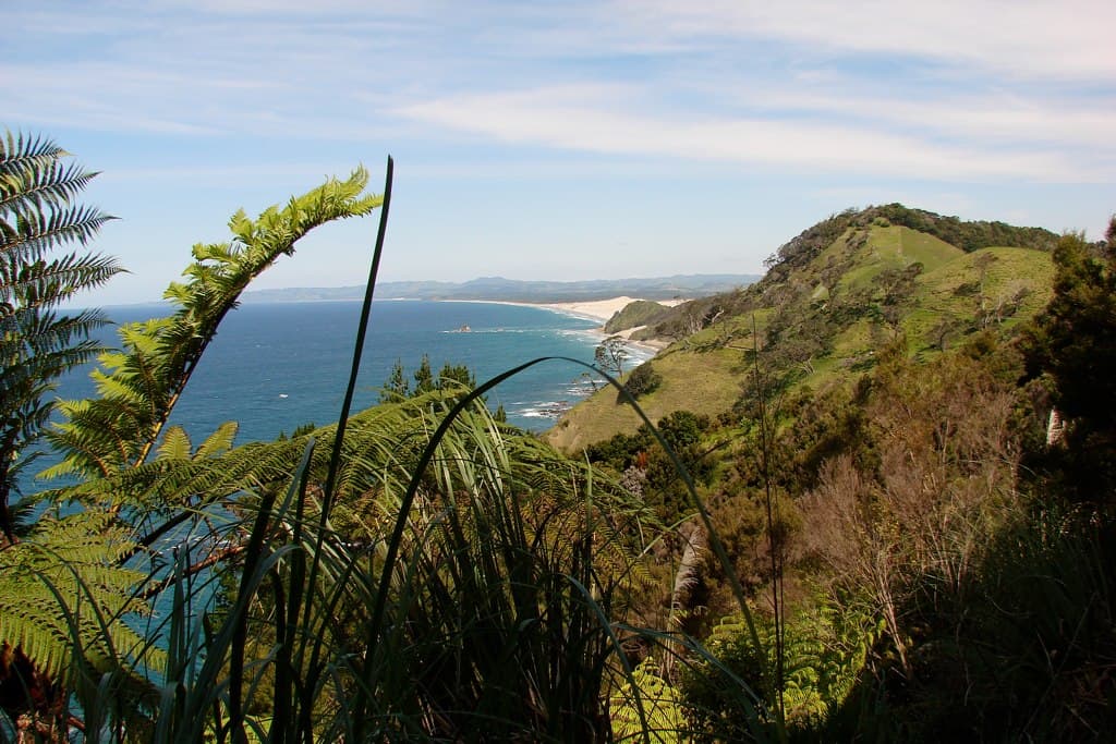 Mangawhai Heads