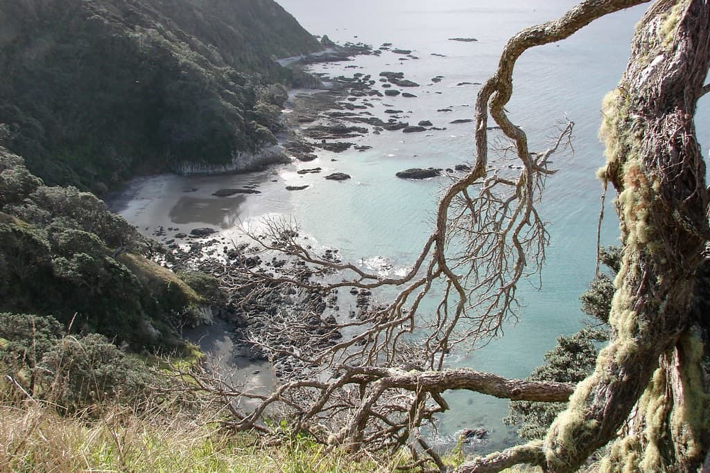 Mangawhai Heads