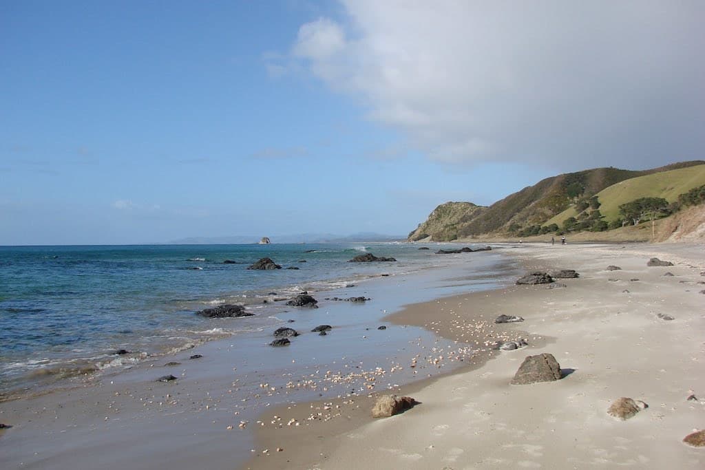 Mangawhai Heads