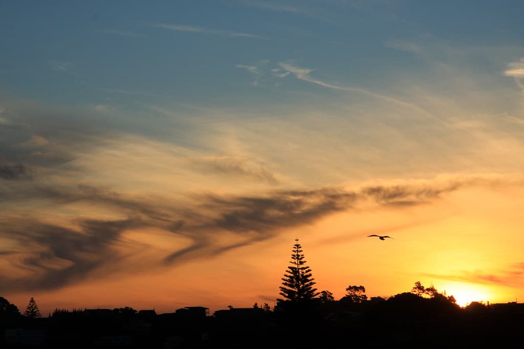 Mangawhai Sunset