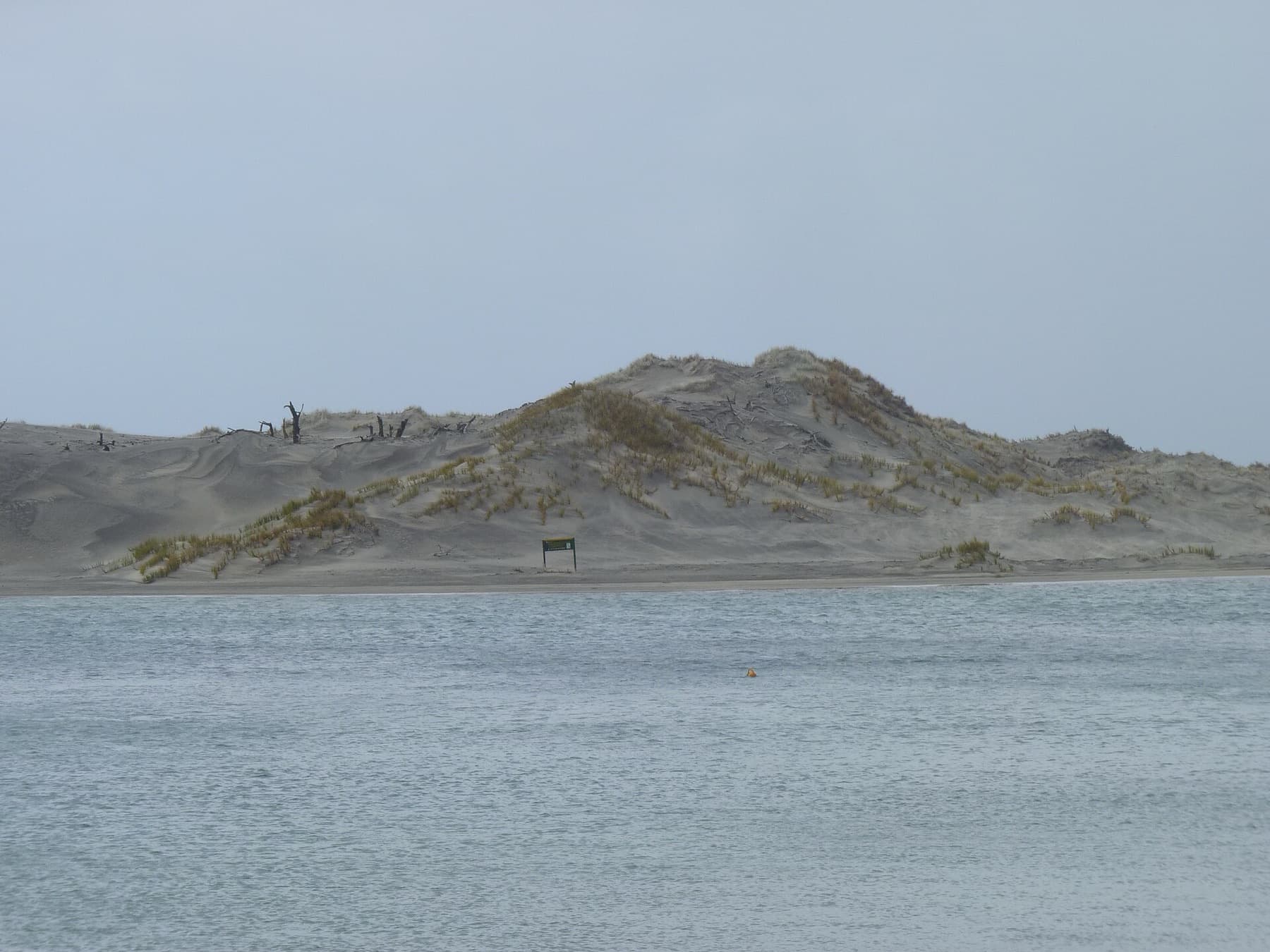 Mangawhai Wildlife Refuge, New Zealand (1)
