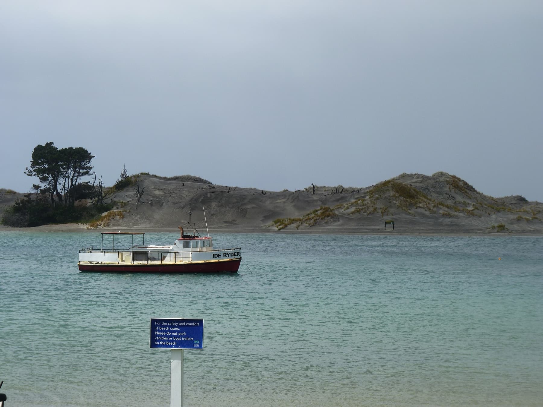 Mangawhai Wildlife Refuge, New Zealand (2)