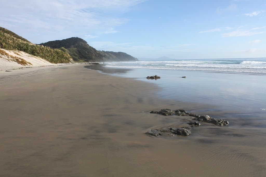 New Zealand: Mangawhai Heads Beach