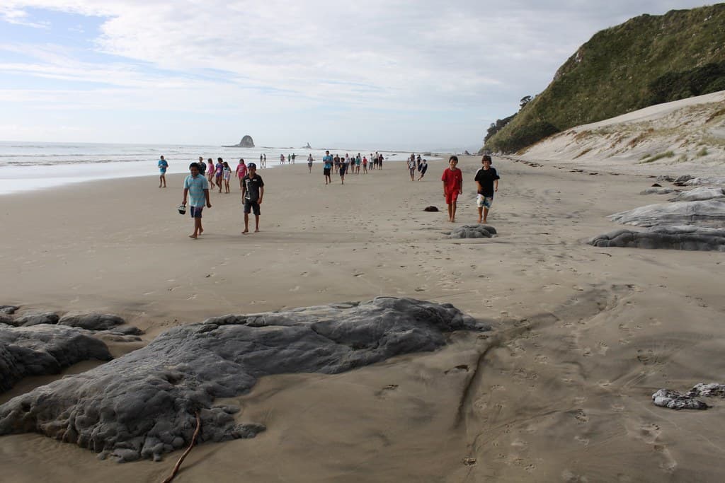 New Zealand: Mangawhai Heads Beach