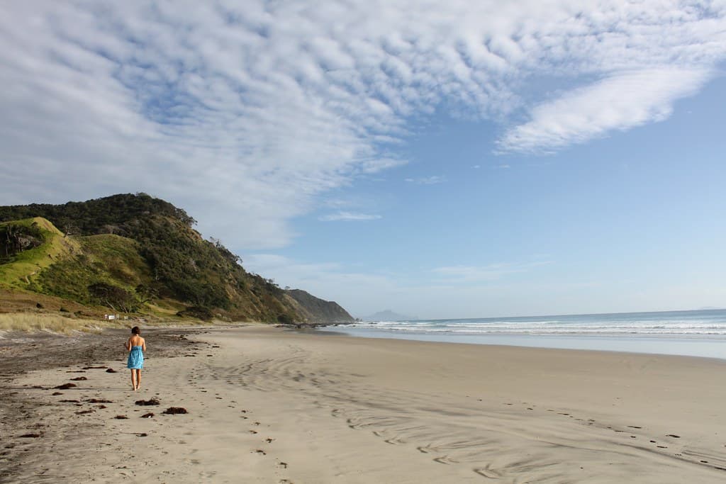 New Zealand: Mangawhai Heads Beach
