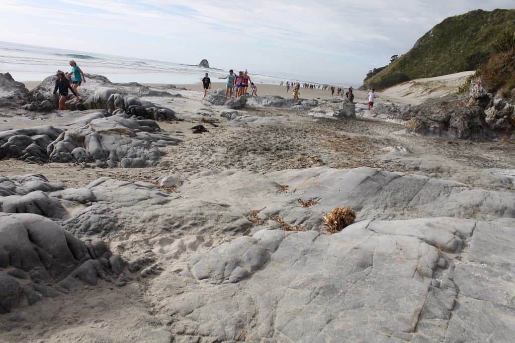 New Zealand: Mangawhai Heads Beach