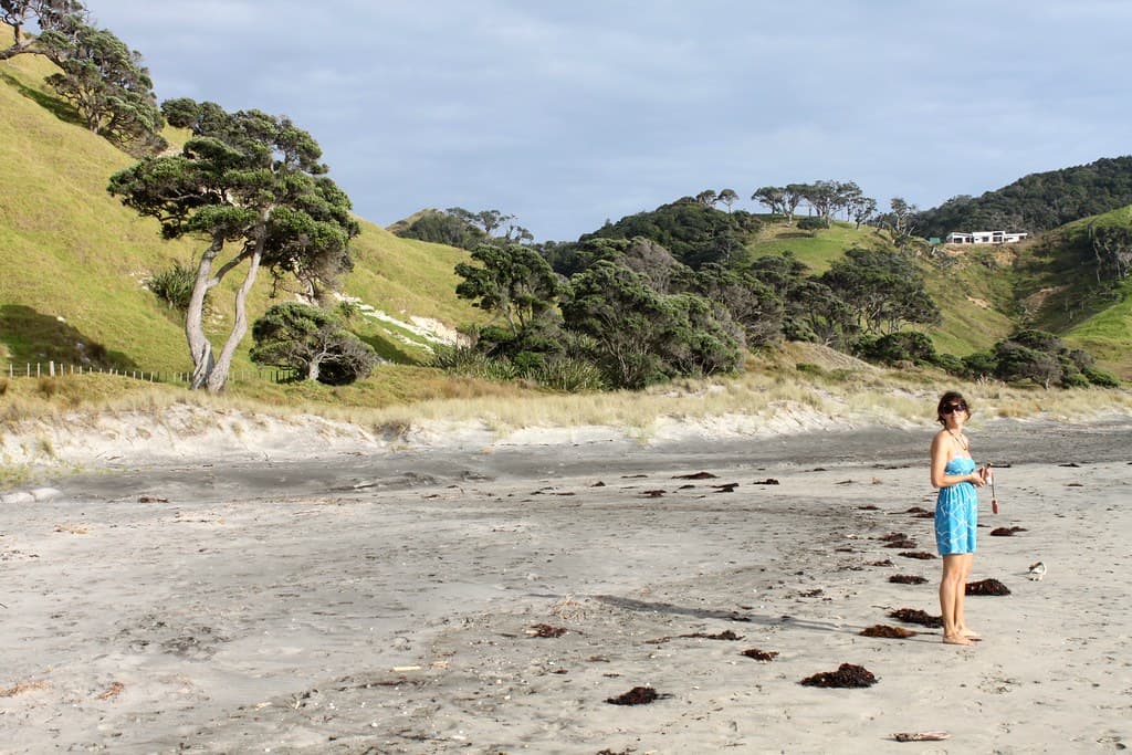 New Zealand: Mangawhai Heads Beach