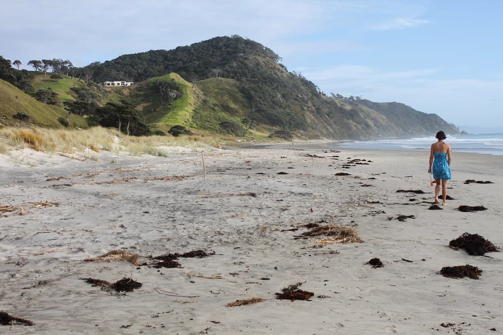 New Zealand: Mangawhai Heads Beach