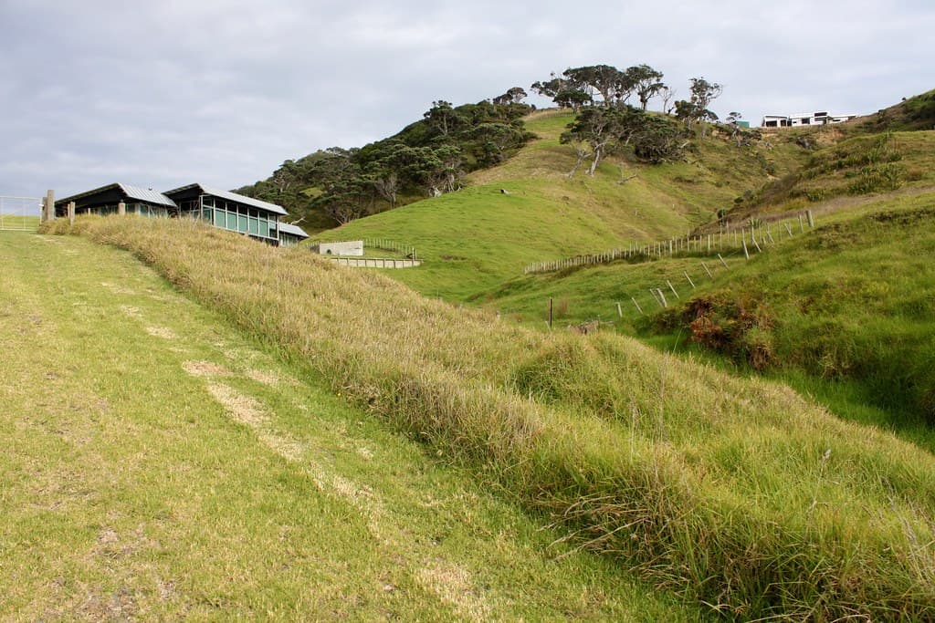 New Zealand: Mangawhai Heads Beach