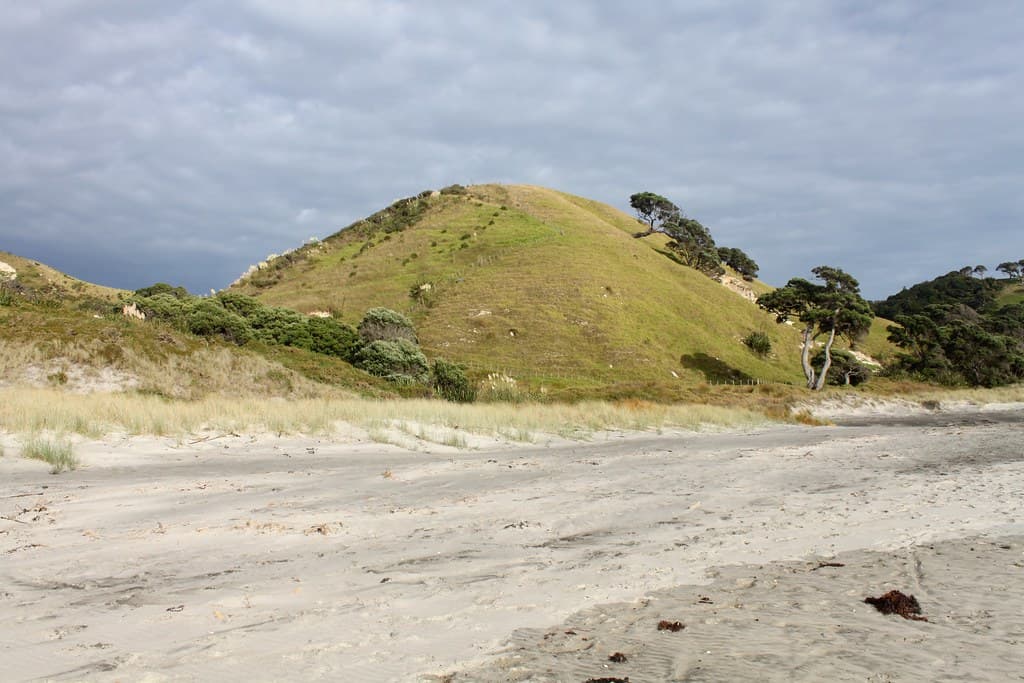 New Zealand: Mangawhai Heads Beach