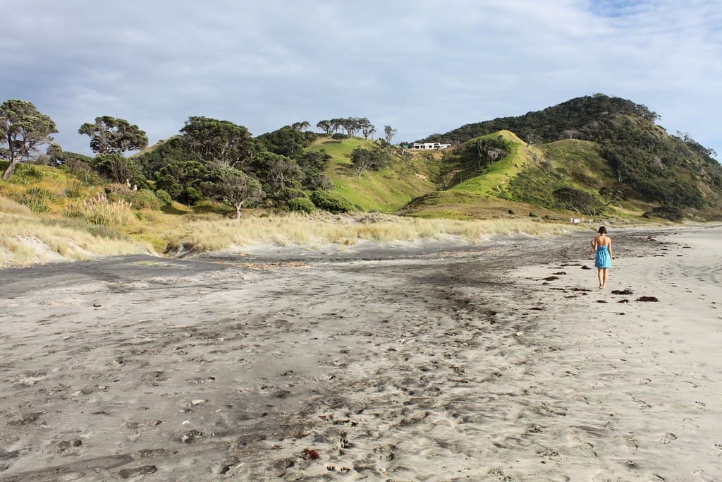New Zealand: Mangawhai Heads Beach
