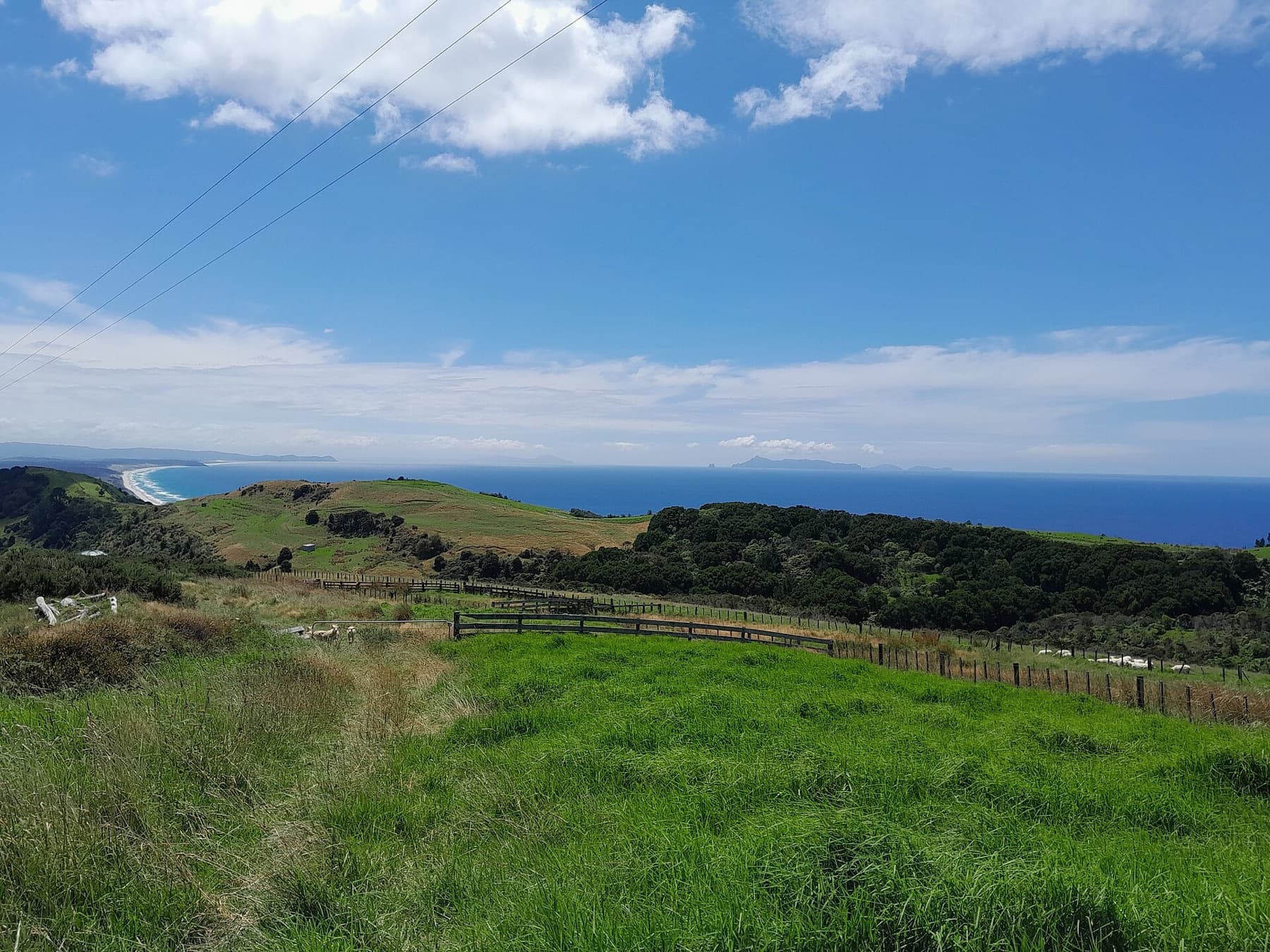 Overlooking Pākiri Regional Park from it's south-western boundary