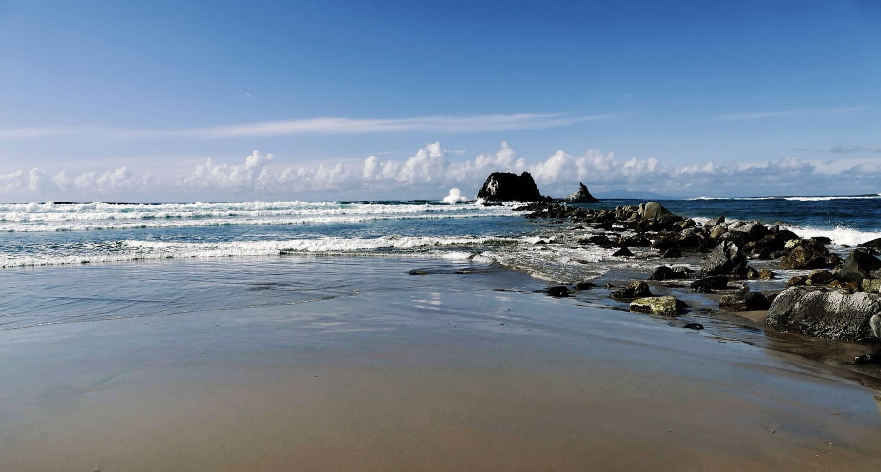 Pacific Coastline NZ (43968931255)