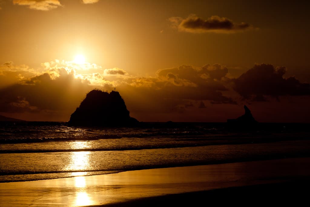 The Sentinel, Mangawhai Beach
