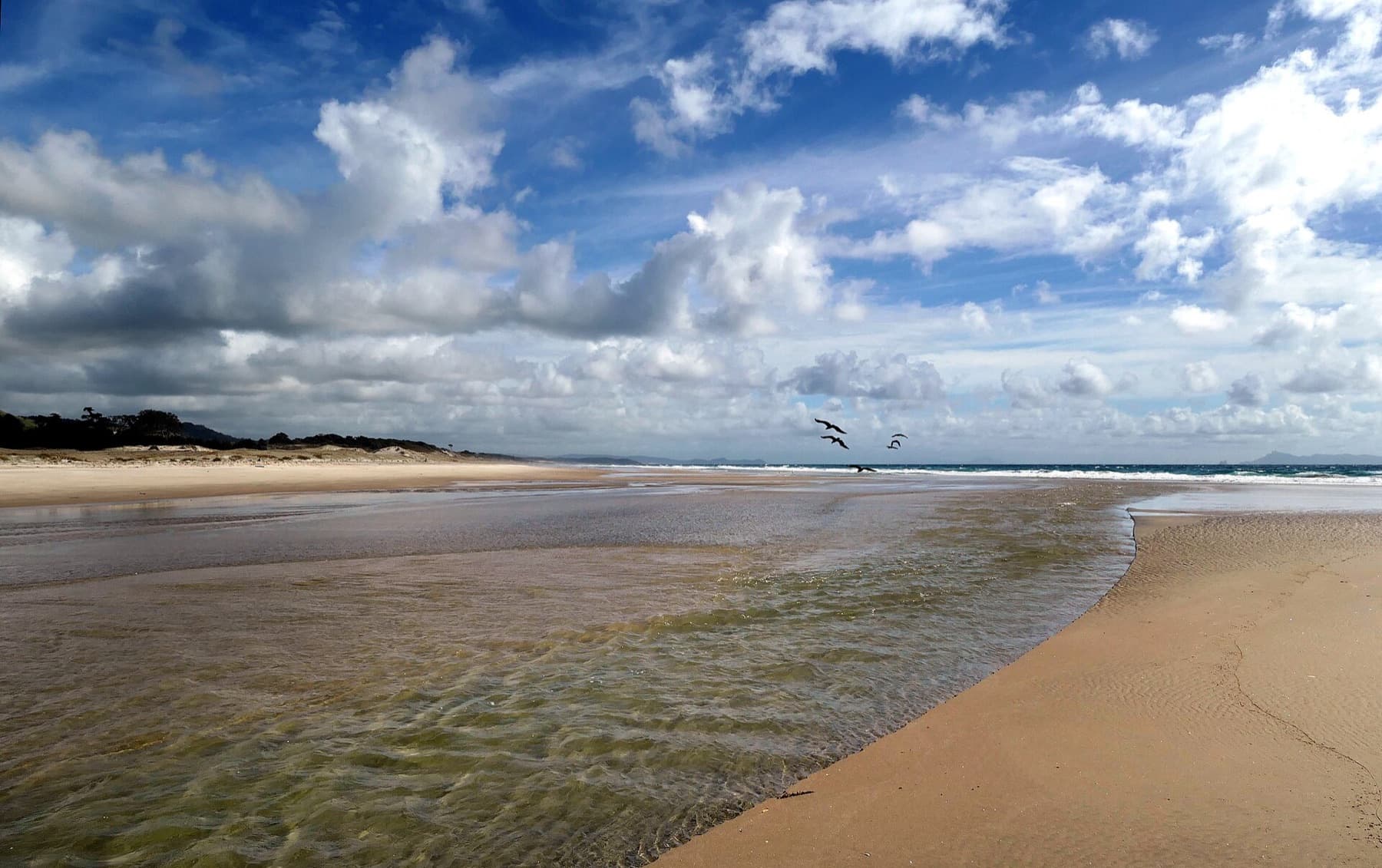Pakiri Beach Northland New Zealand (51083264558)