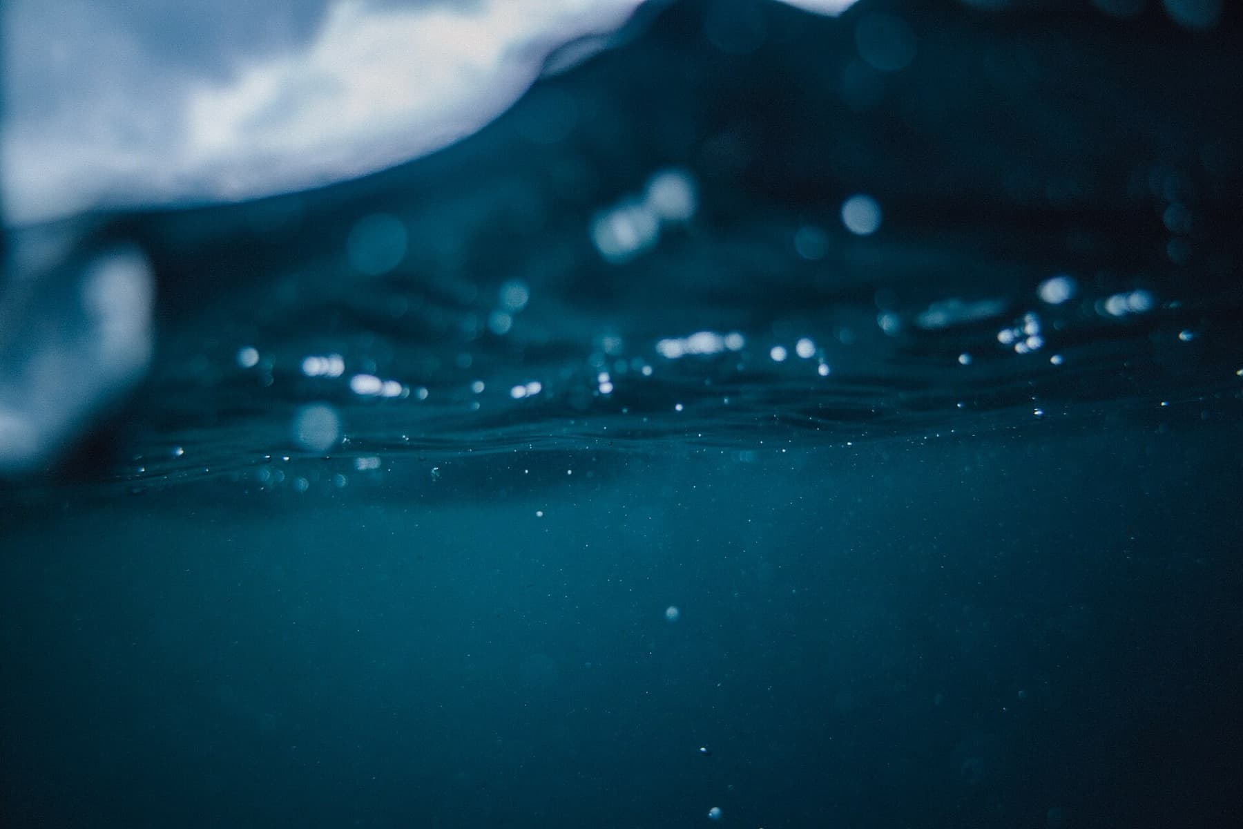 Close-up-sea-tawharanui (Unsplash)