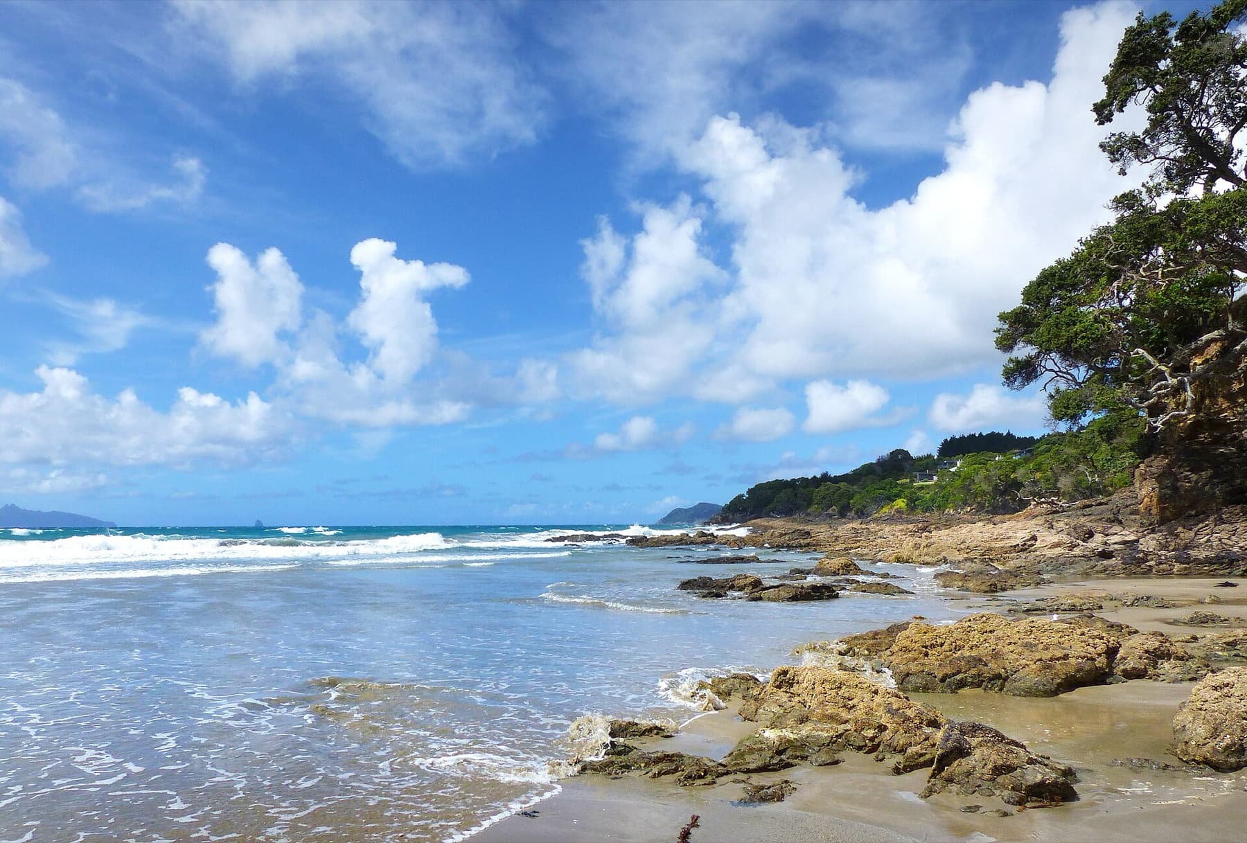 Rocks and clear water at Waipu Cove