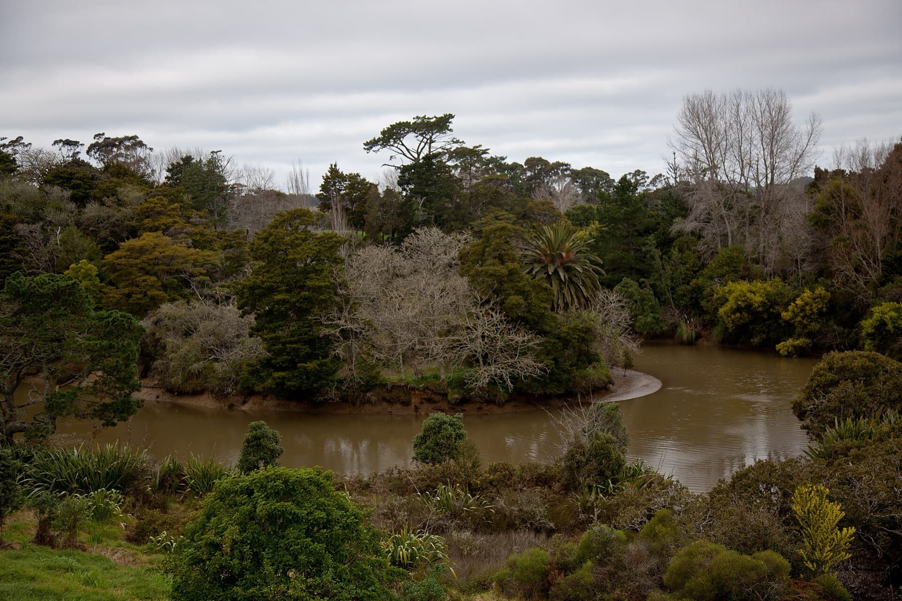 A bend in the Matakana River