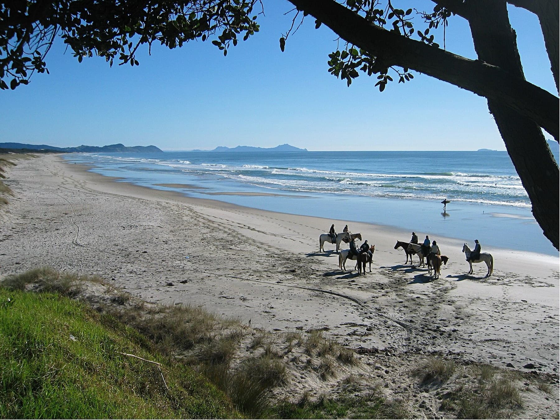 Riders and surfers on Te Arai Beach